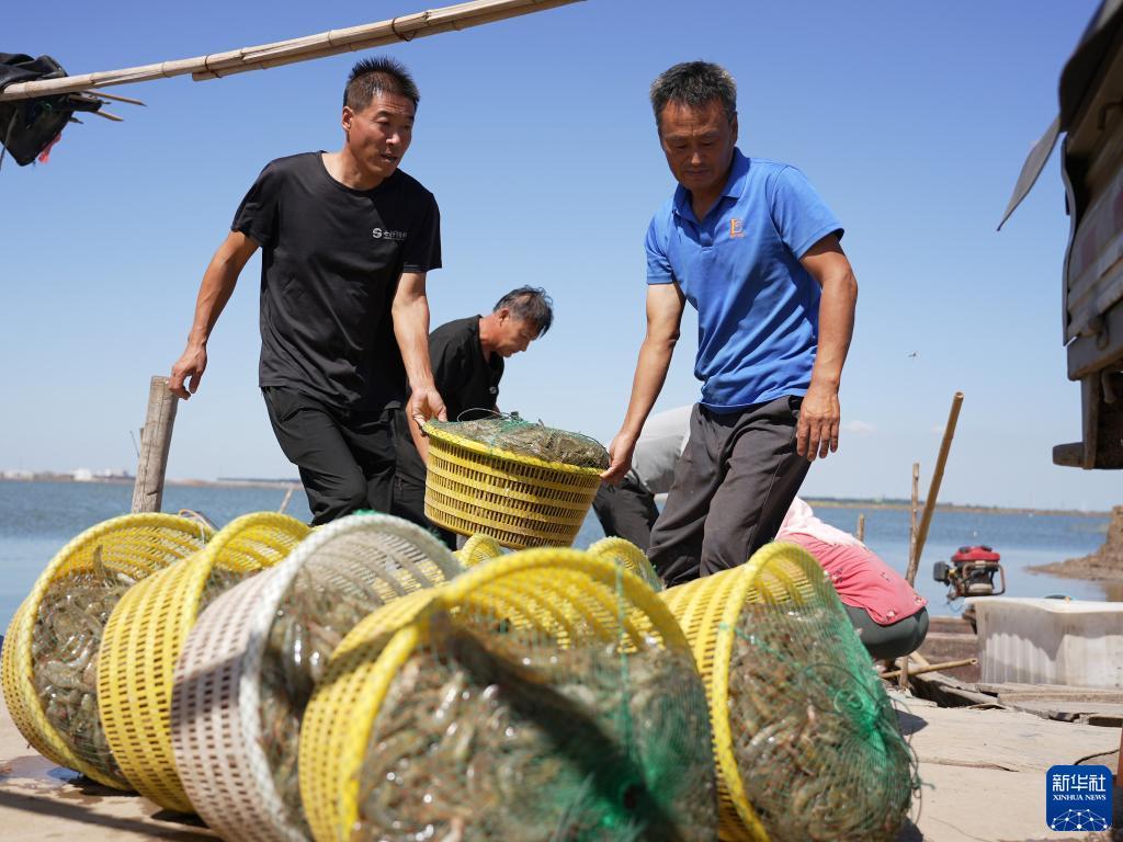 跟梅高美一样的游戏网