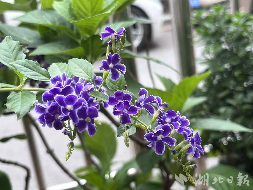 银河集团APP下载